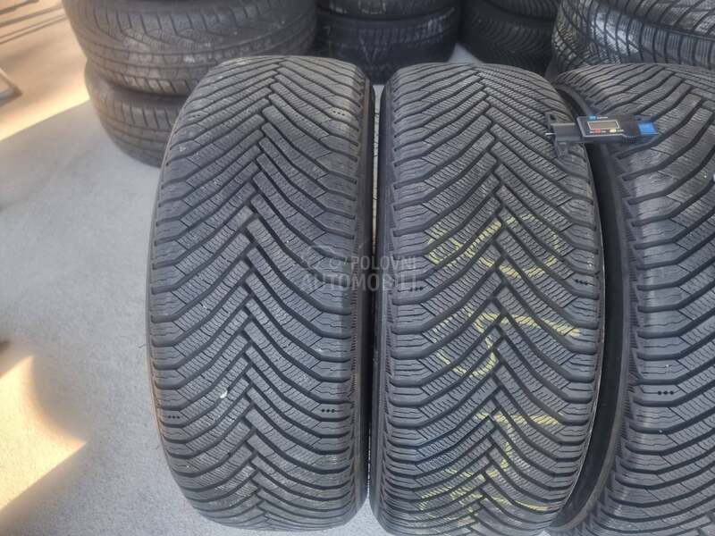 Michelin 205/55 R19 Zimska
