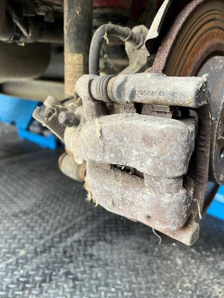 Zadnja kociona klesta