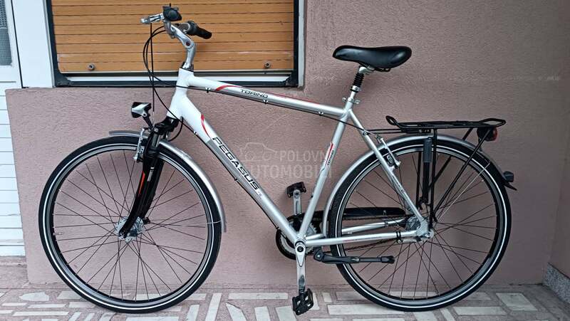Pegasus TORINO Nexus