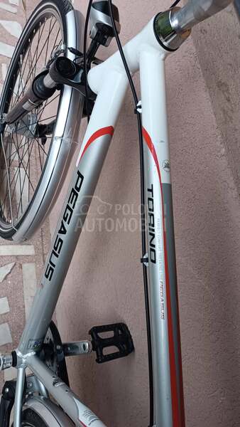 Pegasus TORINO Nexus