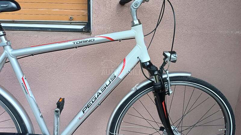 Pegasus TORINO Nexus