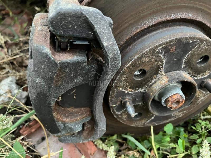 Kociona klesta prednja