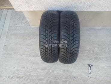 Nexen 165/60 R14 Sve sezone