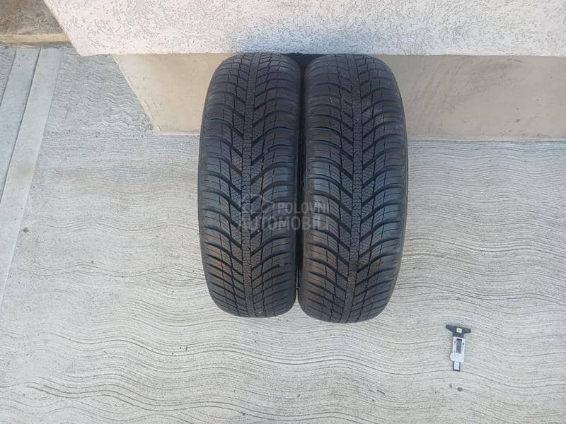 Nexen 165/60 R14 Sve sezone