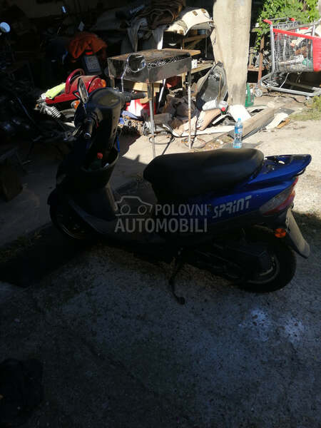 Sprint sport