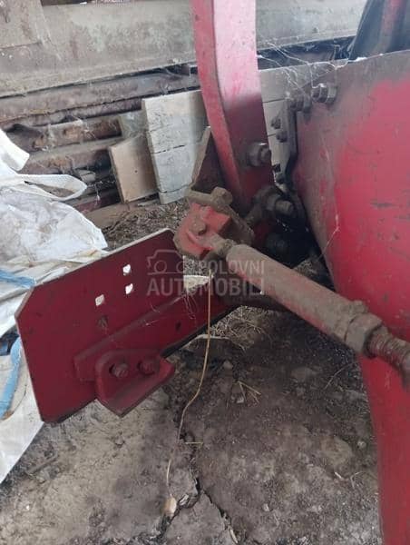 Vogel Noot Gigant kopija Unia