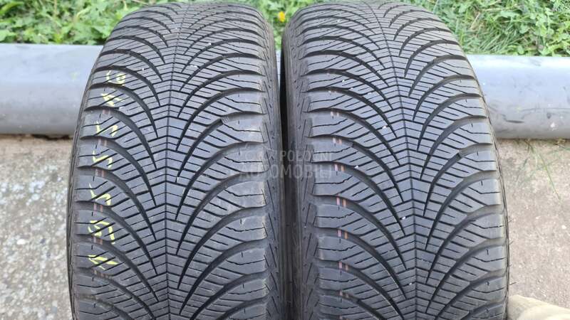 Goodyear 195/55 R16 Zimska