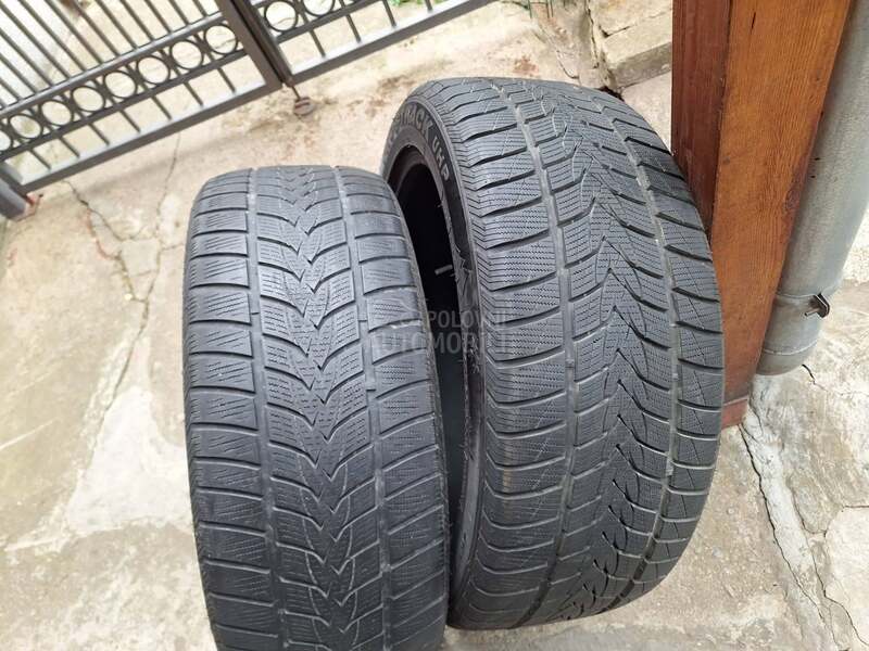 Minerva 255/45 R20 Zimska