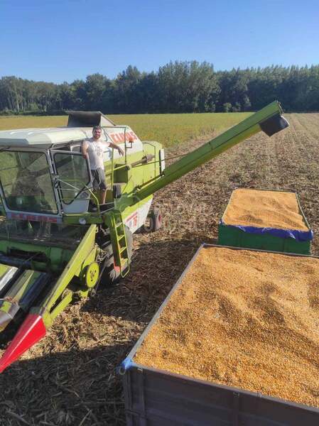 Claas Dominator 76