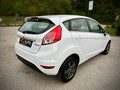 Ford Fiesta 100.000 k m