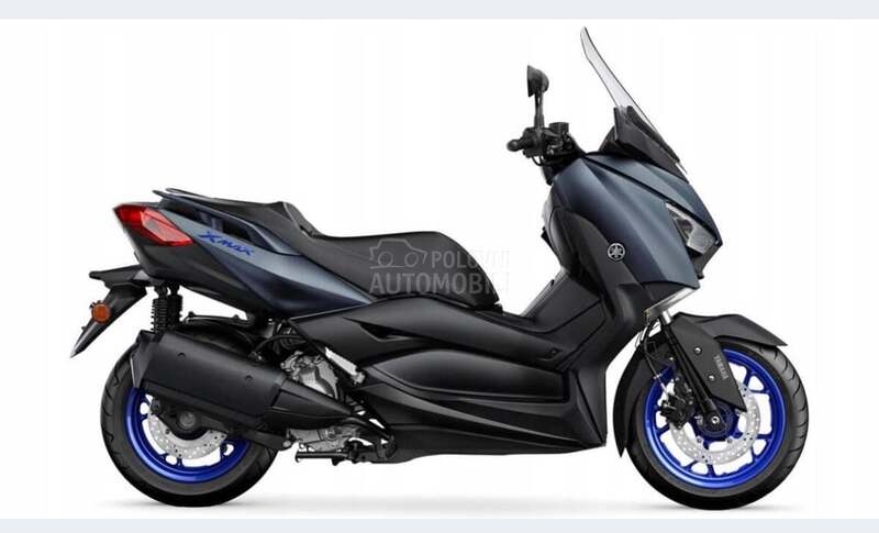 X max 125/300