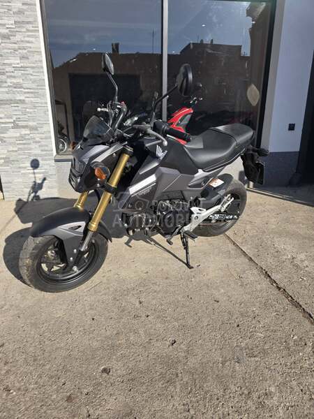 Honda msx 125 grom
