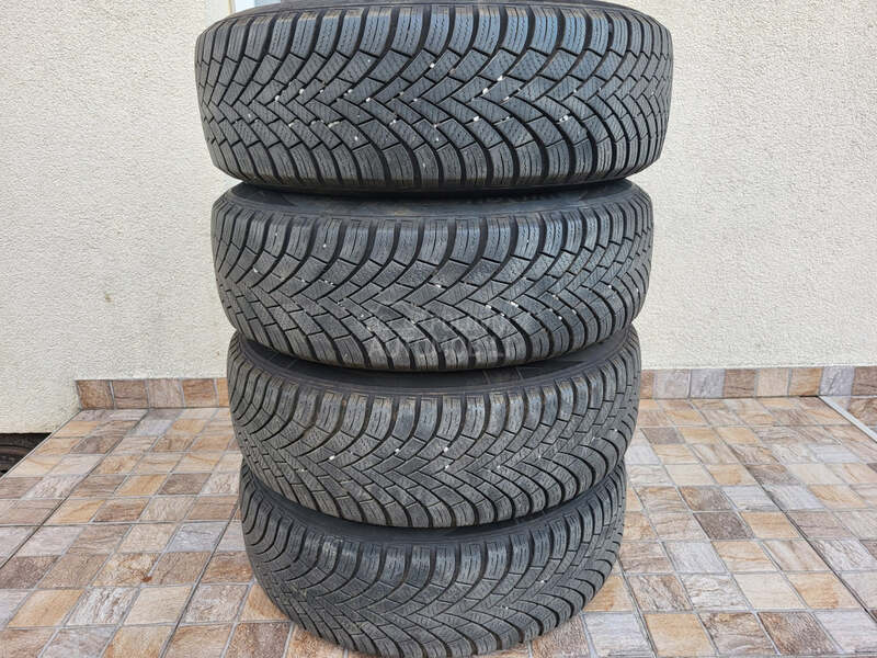 Nexen 195/65 R15 Zimska