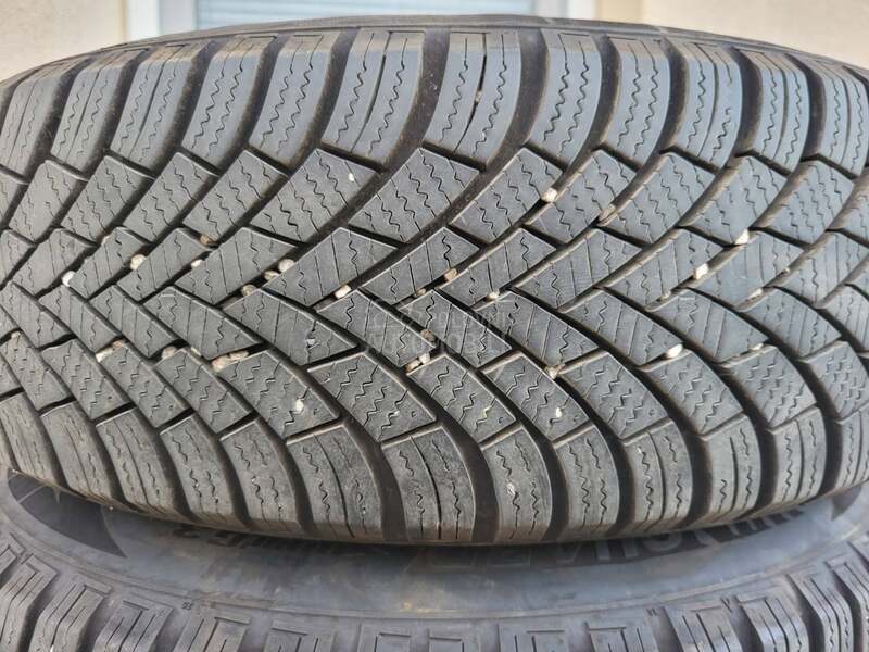 Nexen 195/65 R15 Zimska