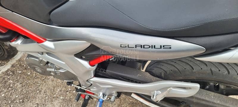 Suzuki Gladius SVF 650