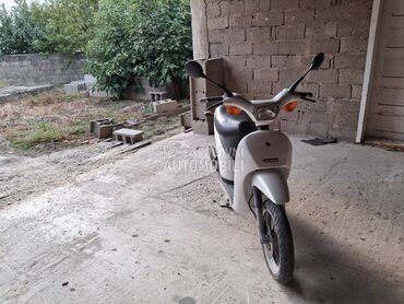 Piaggio free