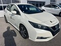 Nissan Leaf Acenta/300domet