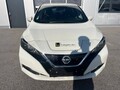 Nissan Leaf Acenta/300domet