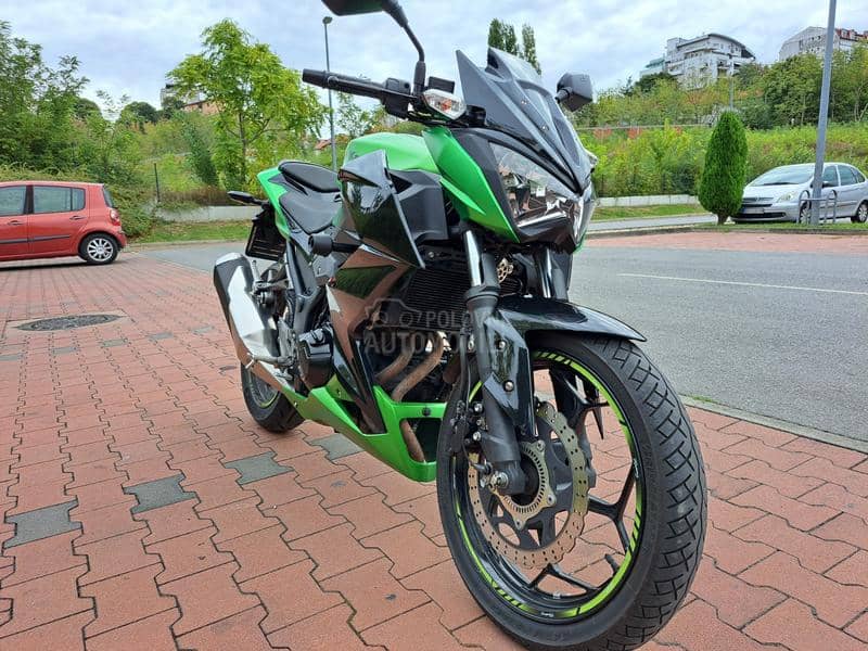 Kawasaki Z300 Z 300