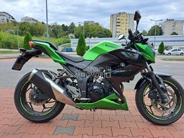 Kawasaki Z300 Z 300