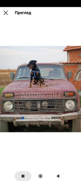 Lada Niva 