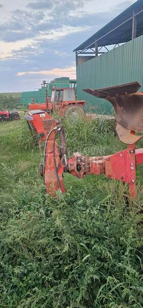 Vogel Noot 1050