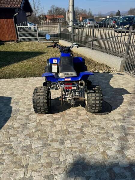Yamaha Raptor 350
