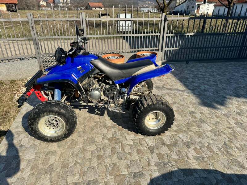 Yamaha Raptor 350