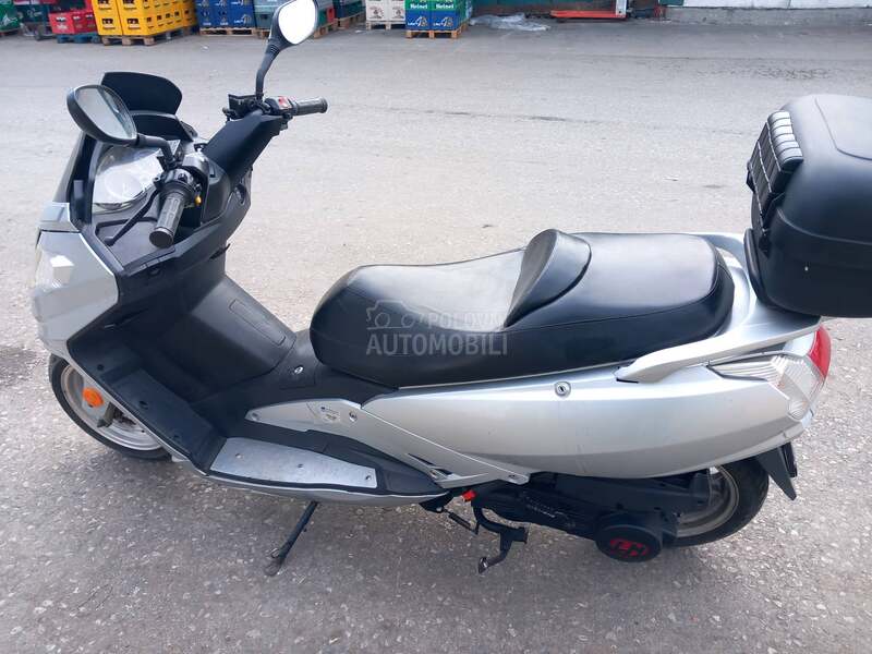 Sachs Shampo