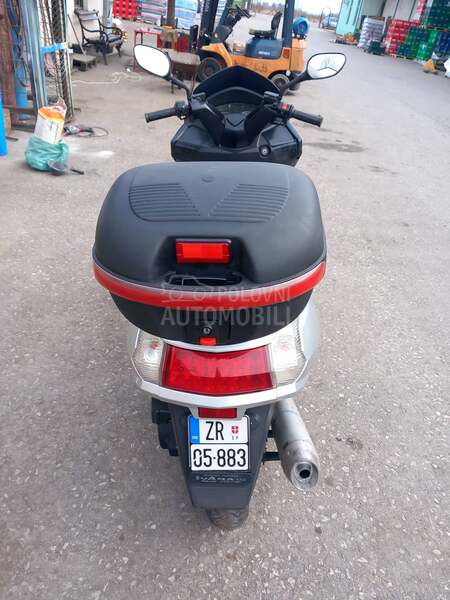 Sachs Shampo