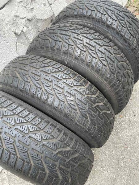 Riken 185/65 R15 Zimska