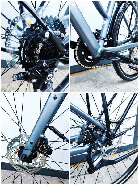 KTM Diamant Rubin