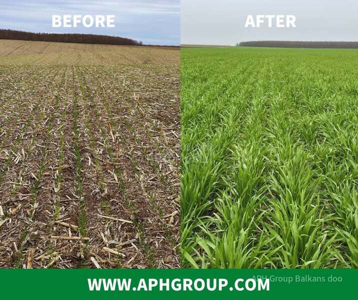 Horizon M DSX no till sejalica