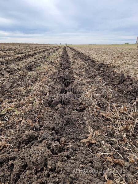 Horizon SPX Strip till