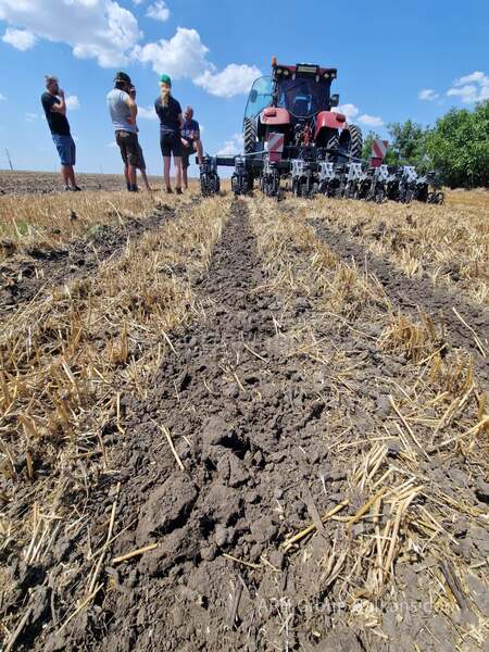 Horizon SPX Strip till