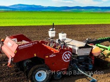 Dewulf CP22 sadilica za krompir