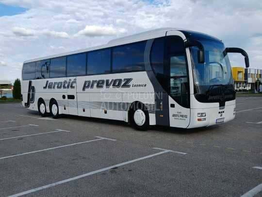 MAN Lions Coach