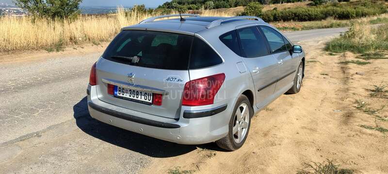 Peugeot 407 407 sw 2.0 hdi