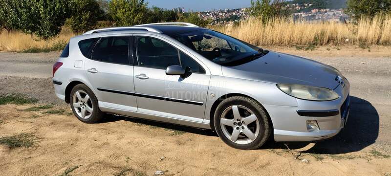 Peugeot 407 407 sw 2.0 hdi