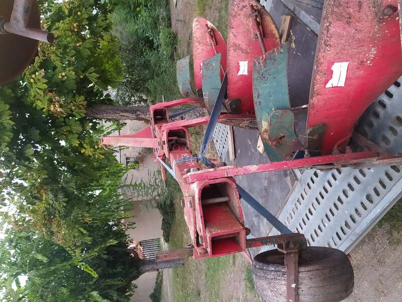 Vogel Noot 850