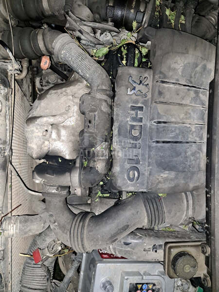 motor 1.6 hdi 66kw