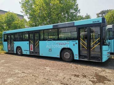 MAN Lions Classic 283