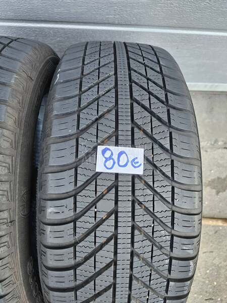 Goodyear 205/55 R16 Sve sezone