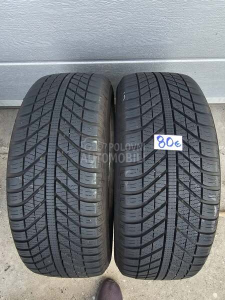 Goodyear 205/55 R16 Sve sezone