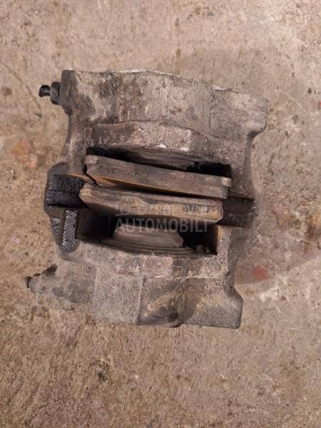 kocione celjusti klesta