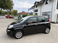 Fiat Panda 1.2 8V V. servis