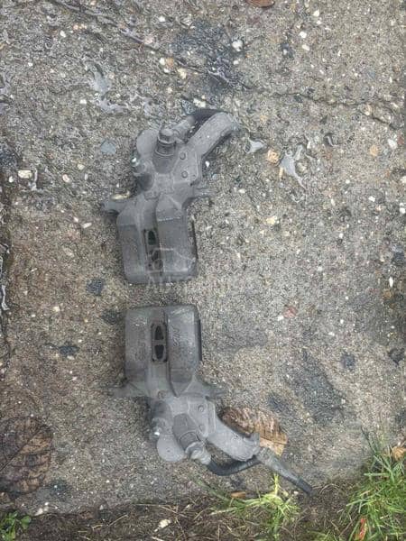 Zadnja kociona kljesta