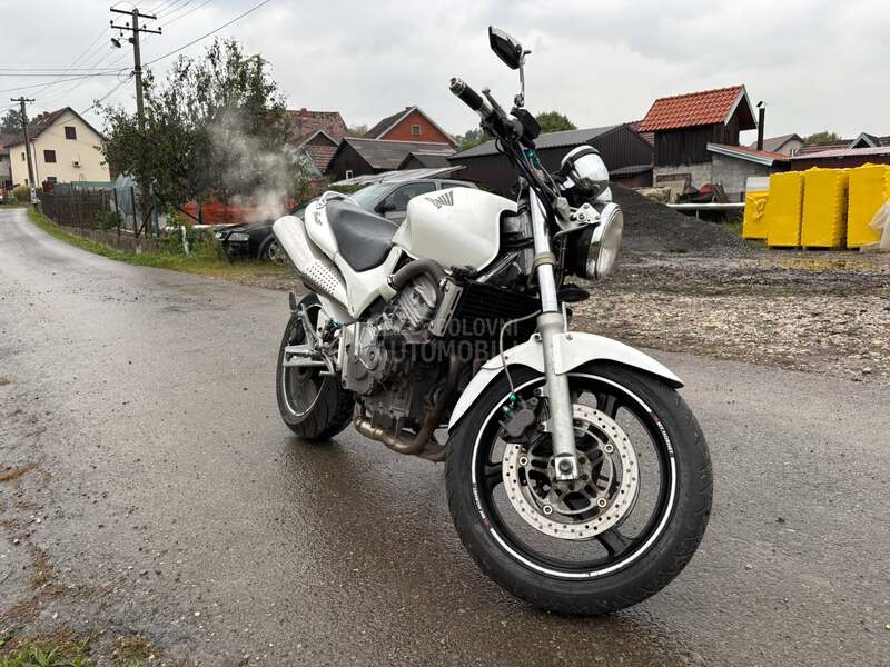 Honda Hornet