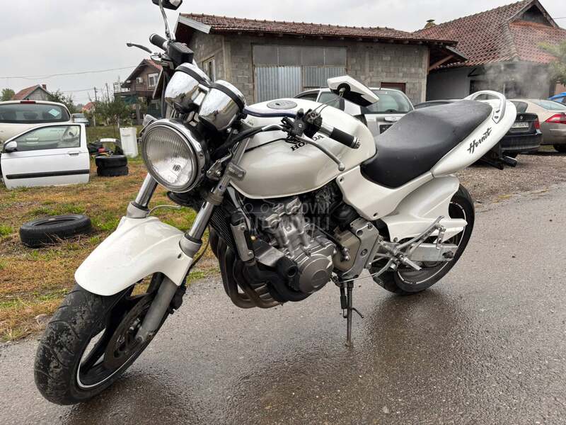 Honda Hornet