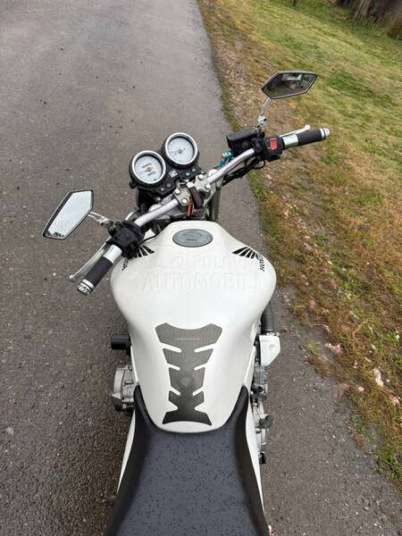 Honda Hornet